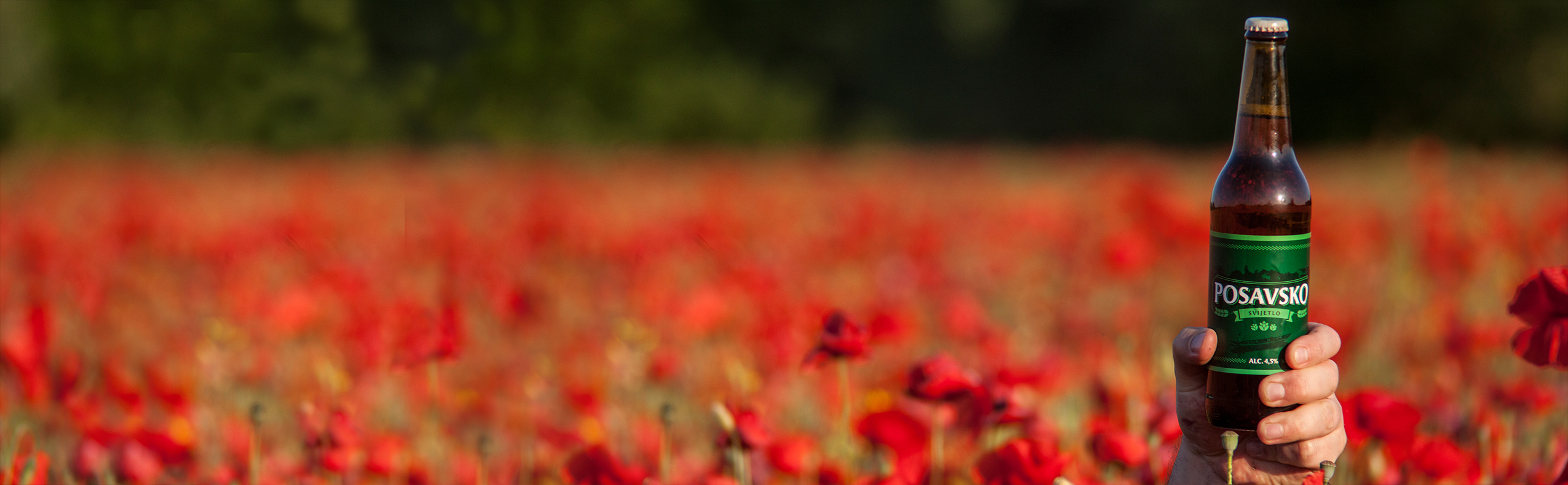 baner