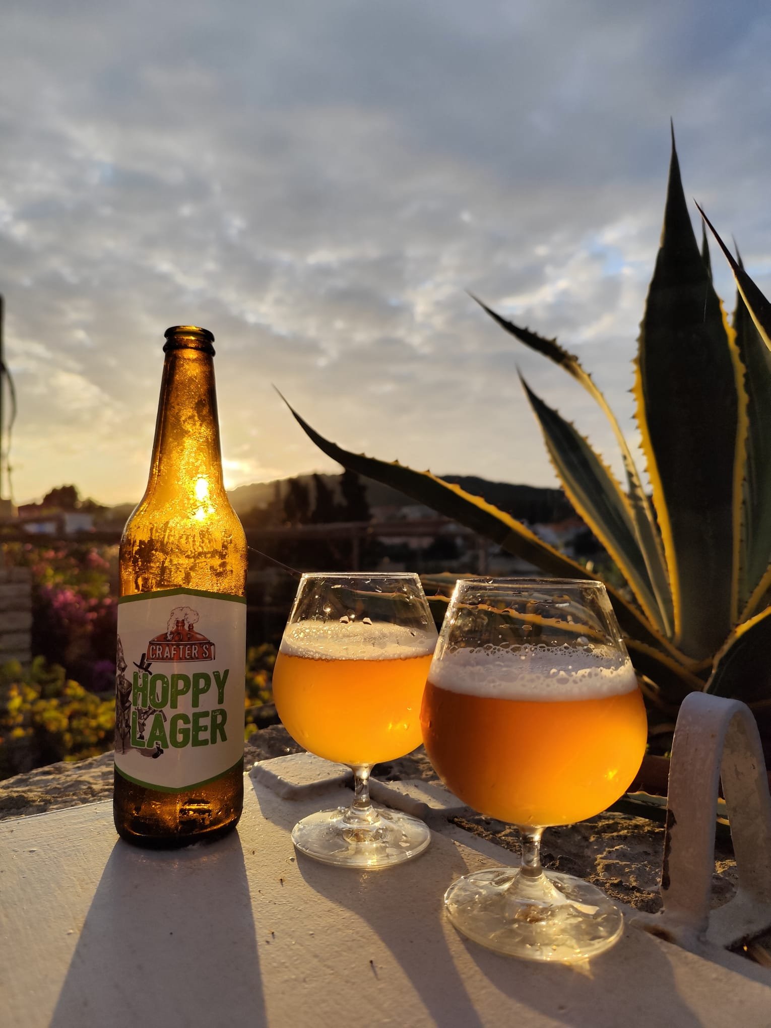 HOPPY LAGER - Slika 2